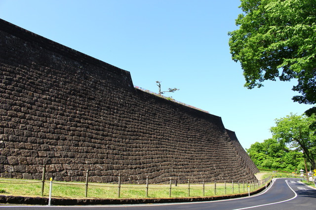 仙台城跡（石垣）