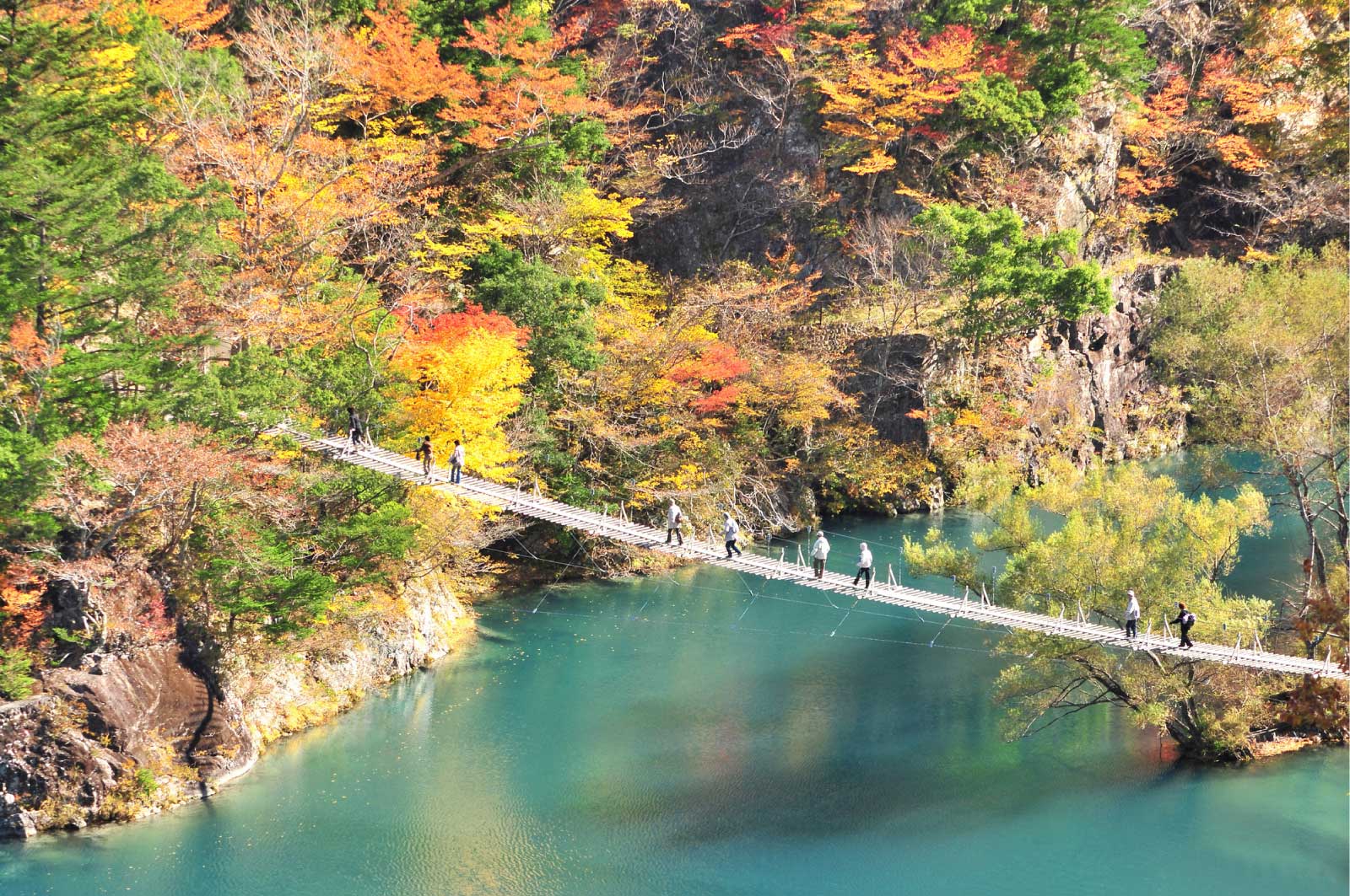 紅葉の時期「夢のつり橋」