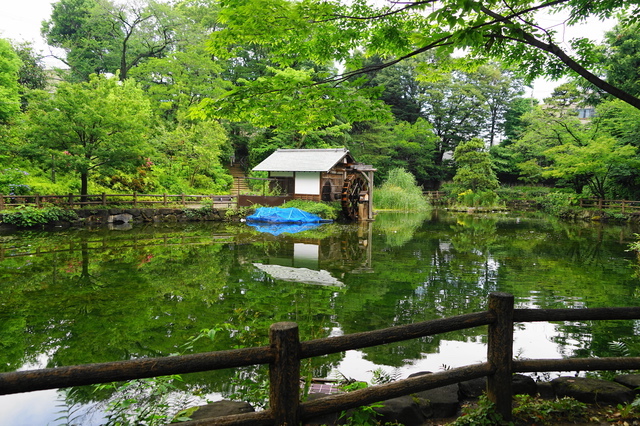 鍋島松濤公園