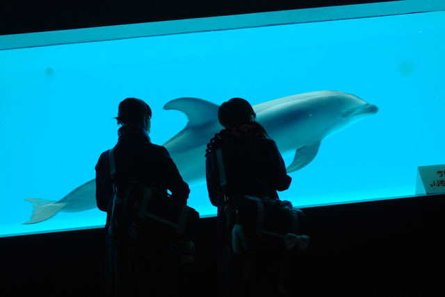 公共の水族館