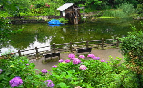 鍋島松濤公園の水車