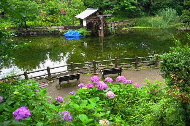鍋島松濤公園の水車