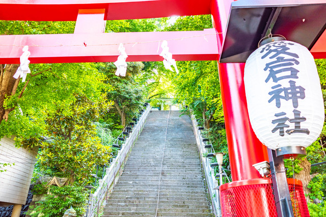 愛宕山に建つ愛宕神社