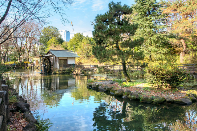 鍋島松濤公園の池