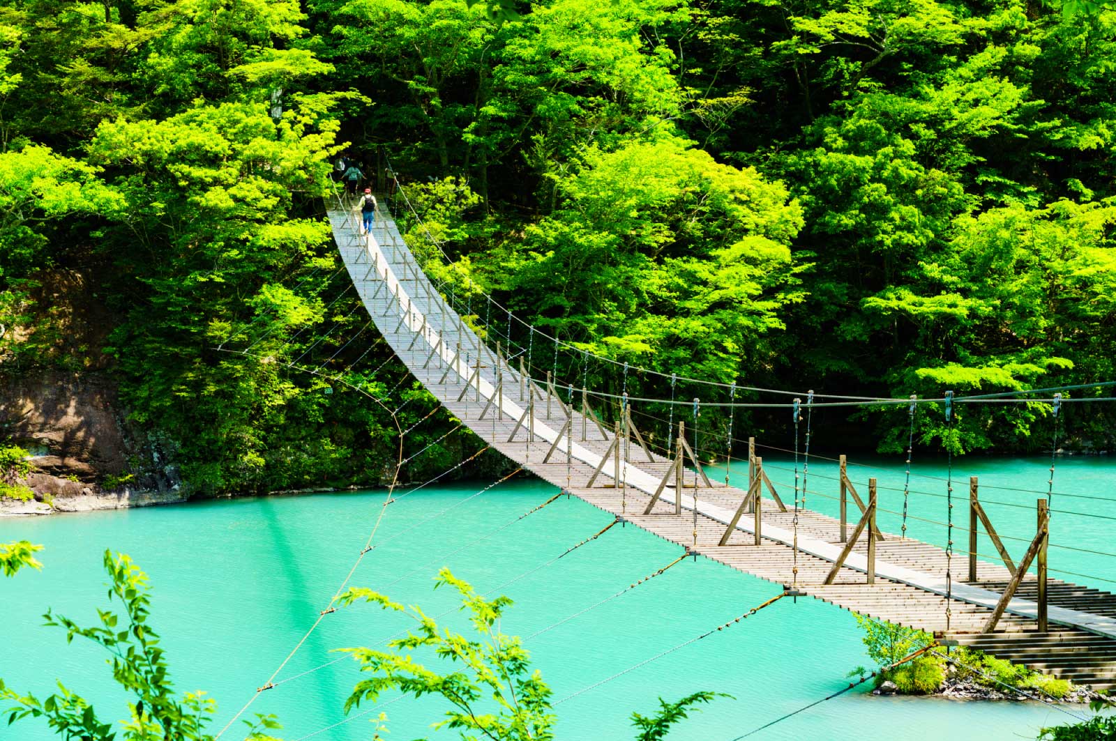 「夢のつり橋」とダム湖