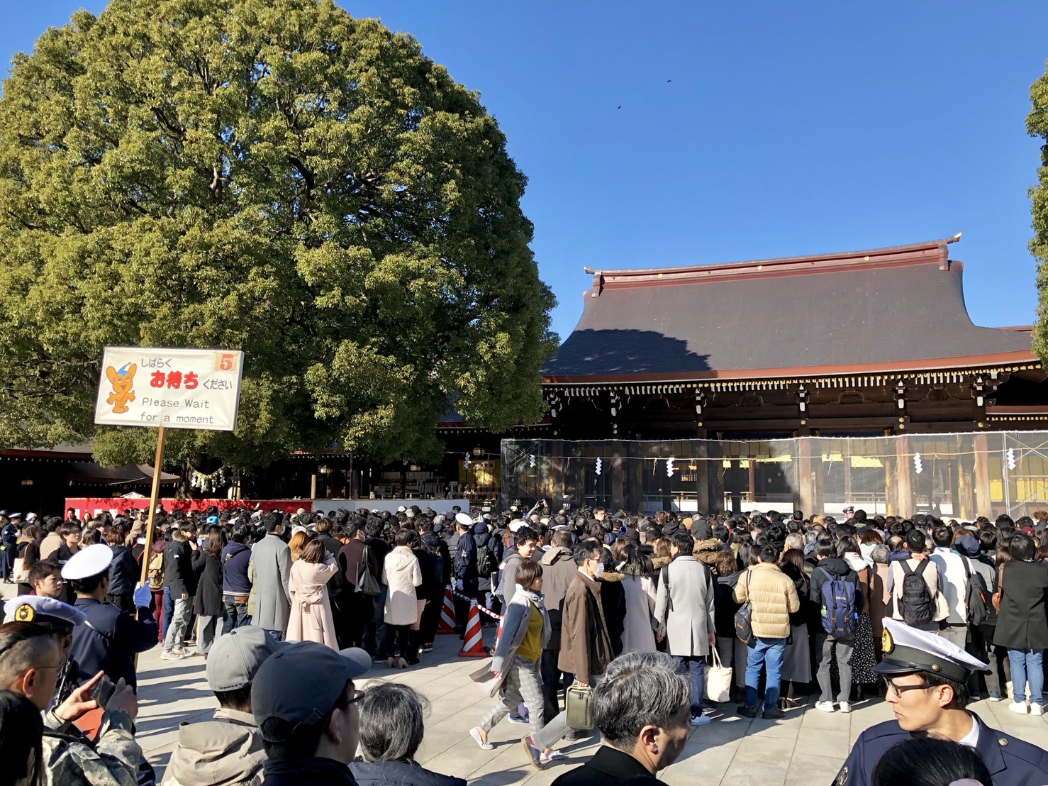 明治神宮・初詣