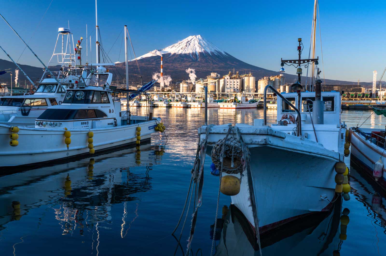 静岡のことをあまり知らなかった