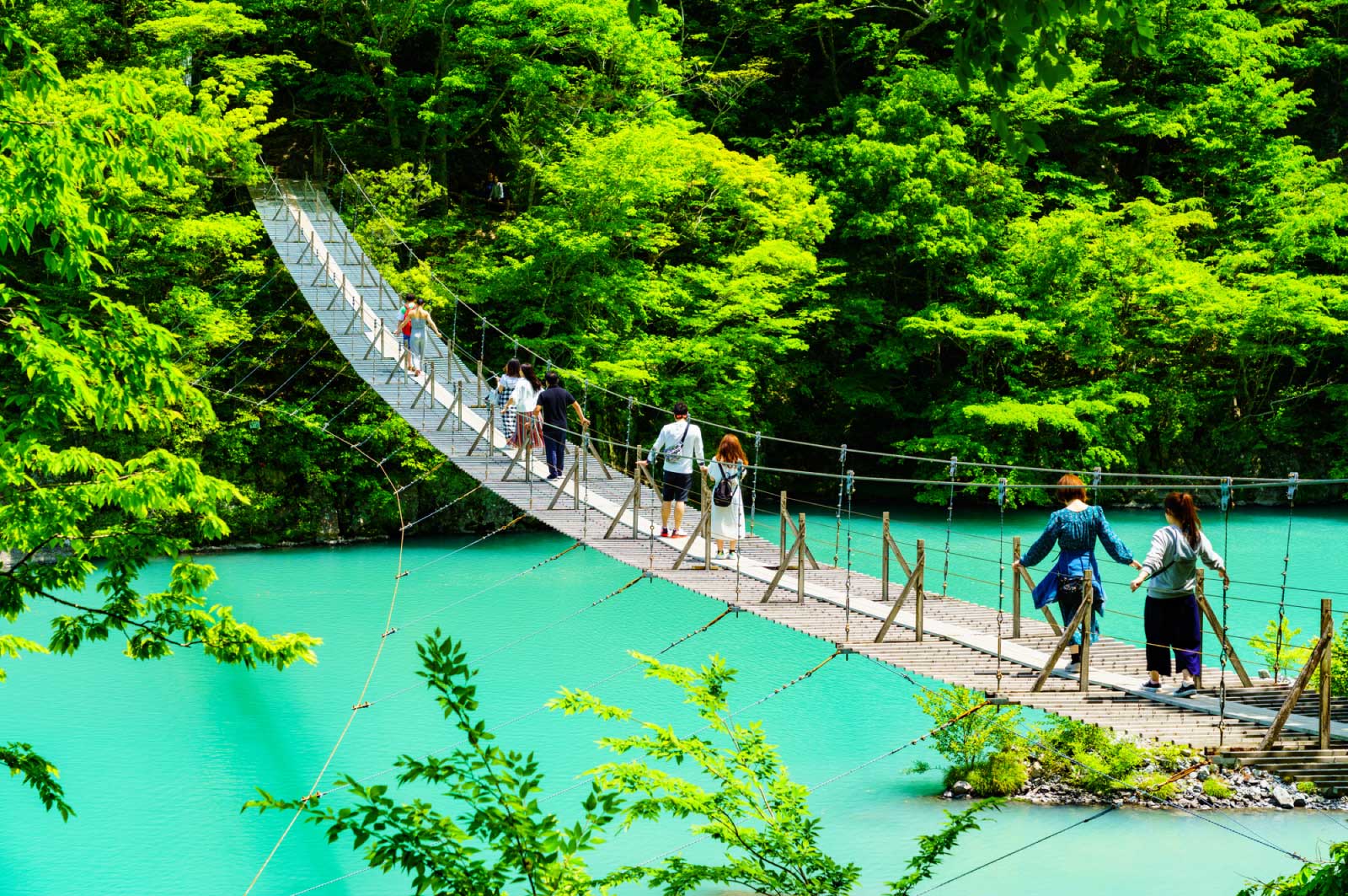 静岡には自然スポットもたくさんある