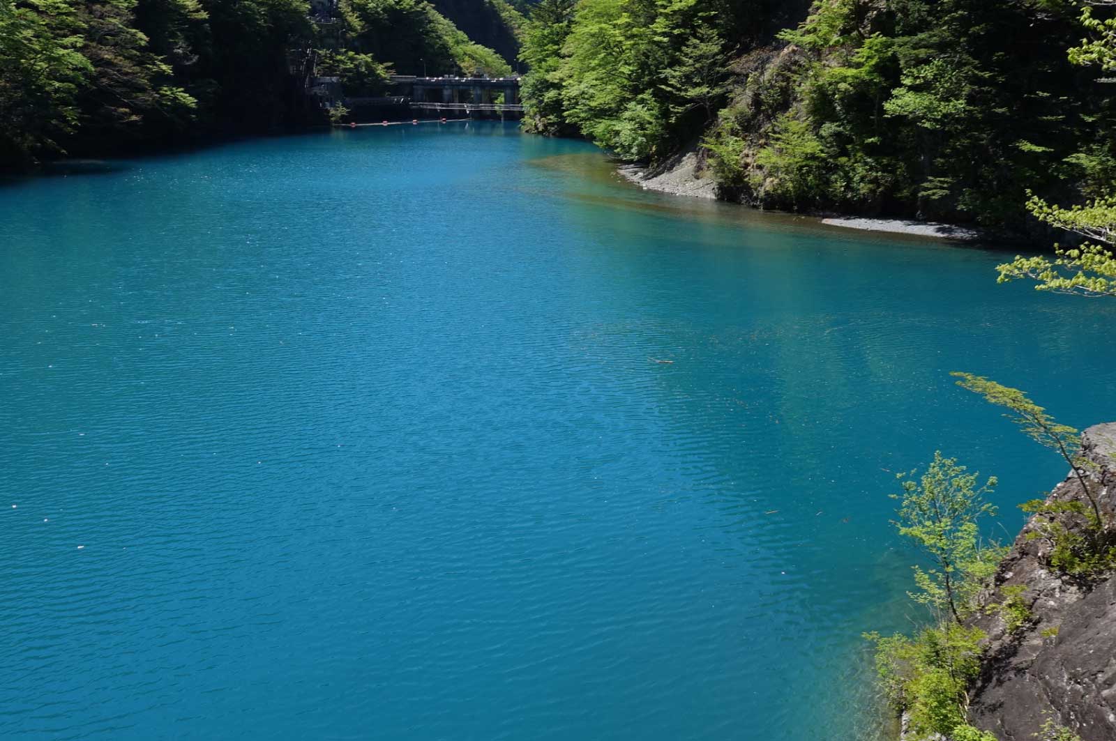 青ではなく、水色に近い色をしていて非常に美しい