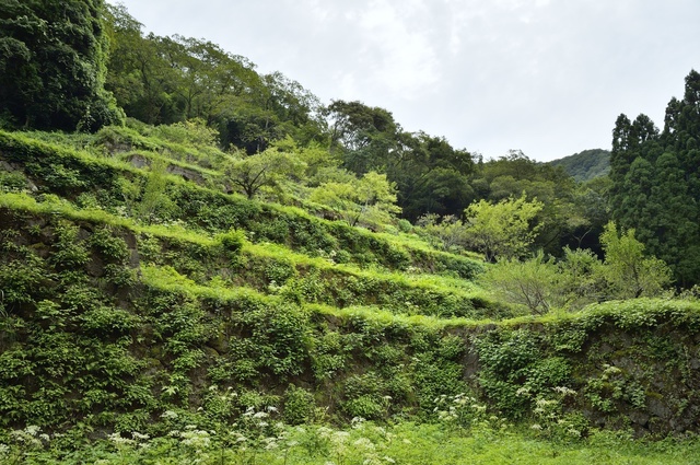 石見銀山の全貌