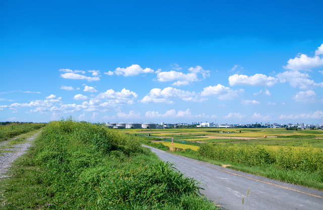 さいたま市（荒川土手）