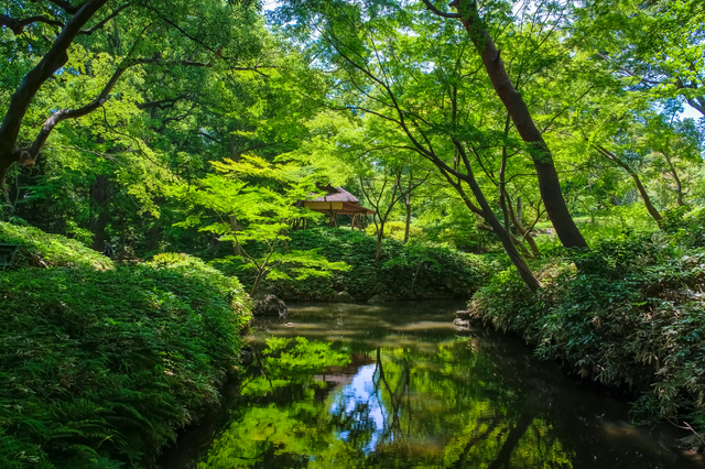 六義園2