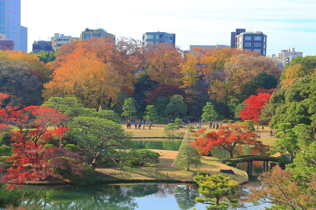 紅葉の六義園