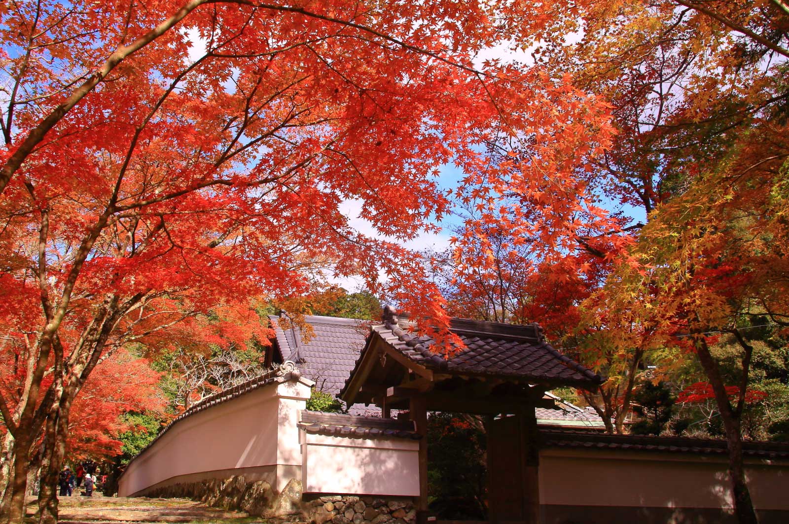 神峯山寺（高槻）