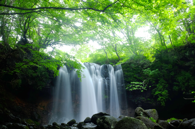 乙女の滝（栃木）