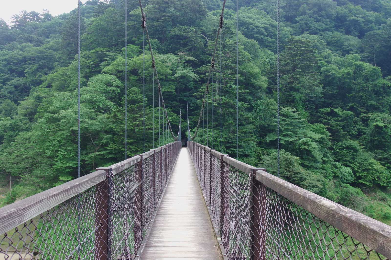 夏の回顧の吊橋（那須塩原）