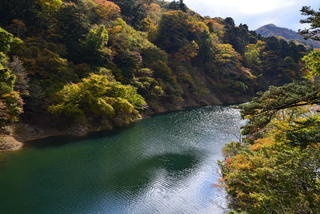 回顧の吊橋からみた景色