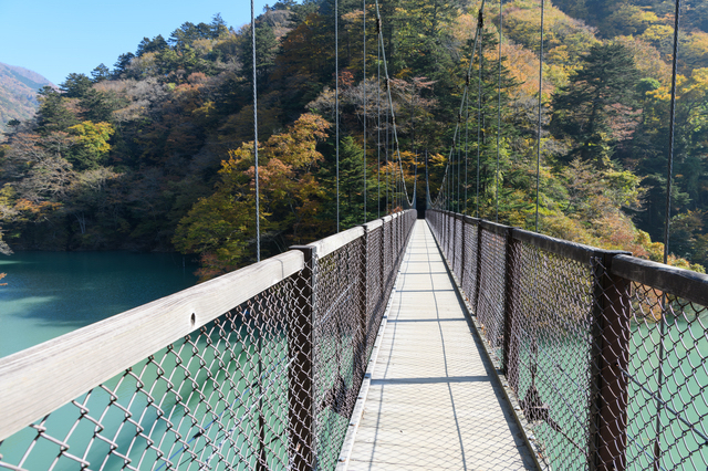 回顧の吊橋（栃木）