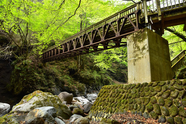 栃木の自然が感じられる那須塩原