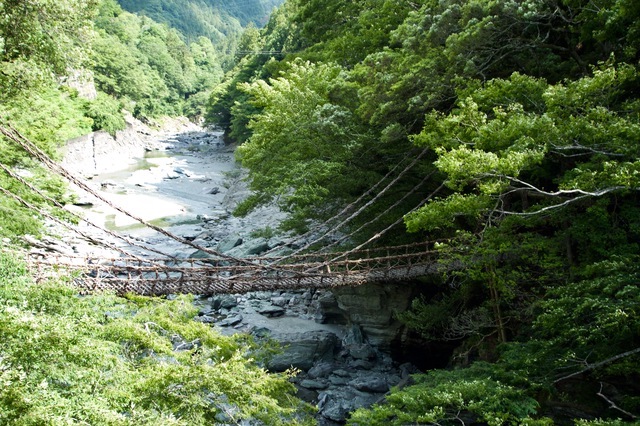 峡谷にかけられたかずら橋