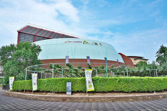 鳥取二十世紀梨記念館 なしっこ館