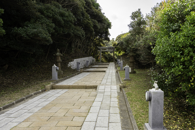 参道（鳥取・白兎神社）