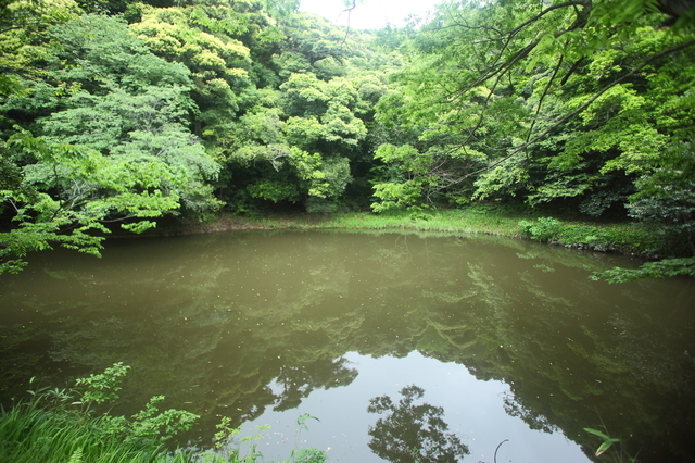 白兎神社の御身洗池