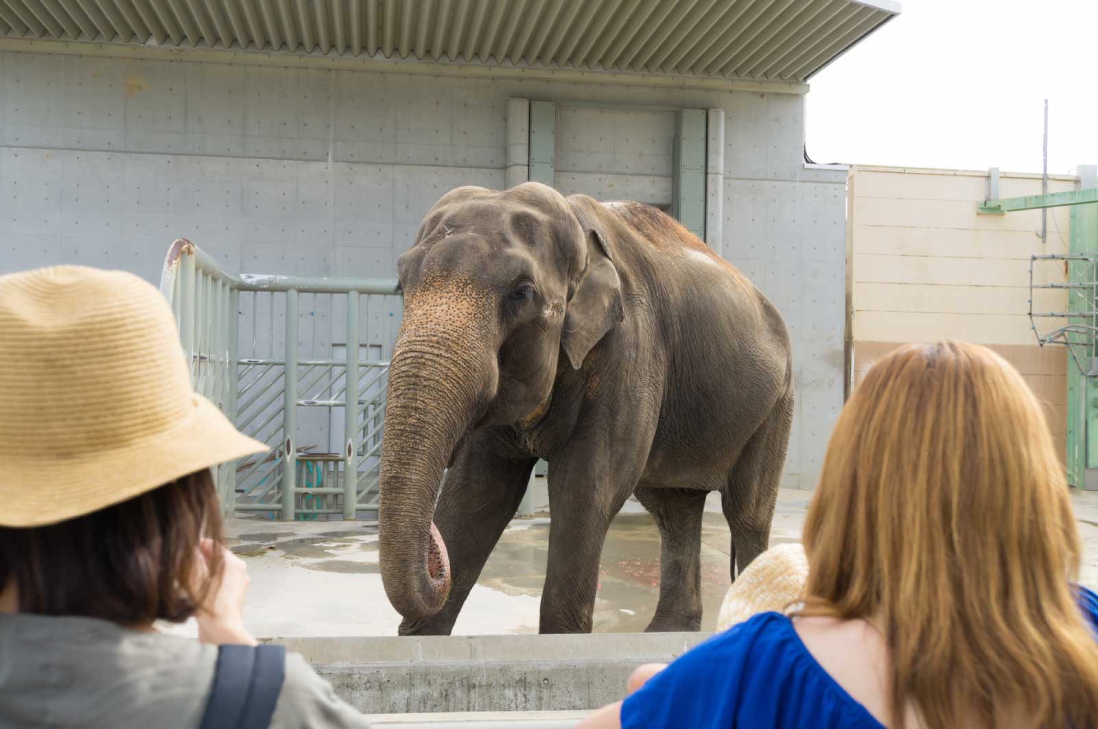 動物園