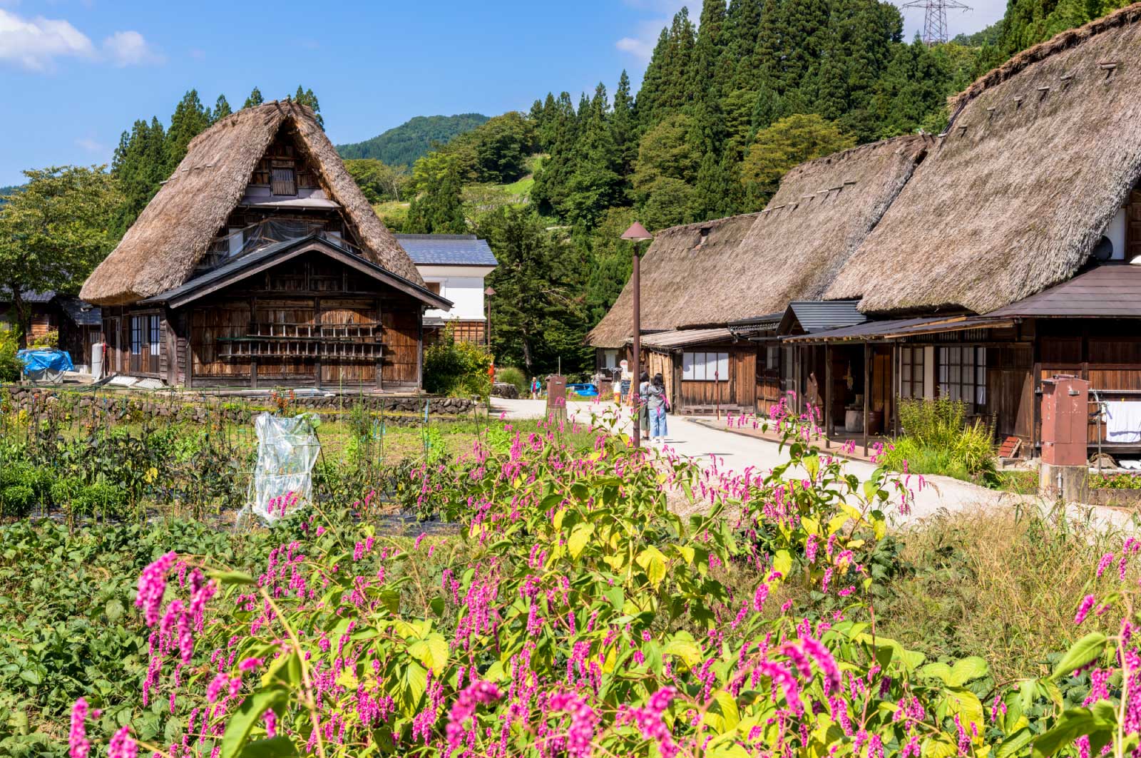 富山県にある世界遺産が「相倉合掌作り集落」というスポット