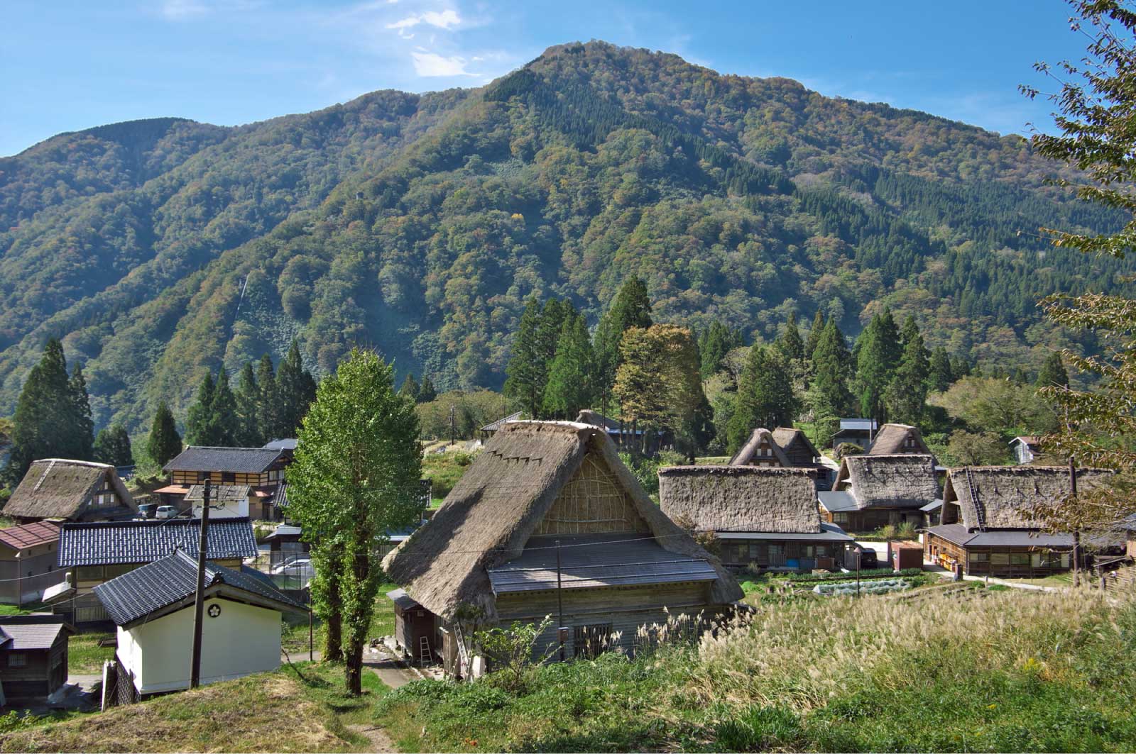 両地域にまたがる合掌造りの建物