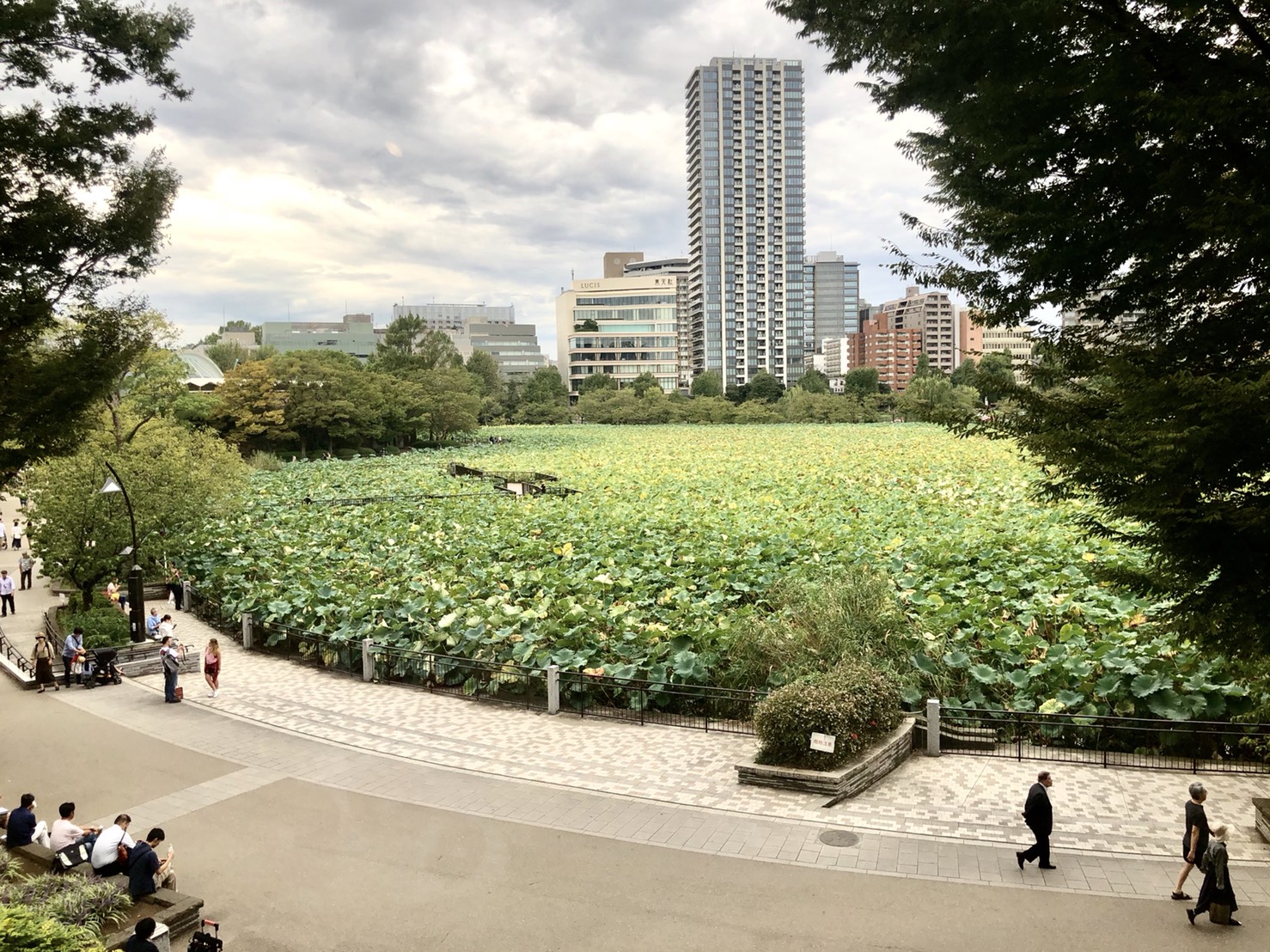 上野公園・不忍池