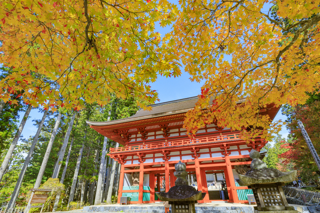 紅葉した高野山