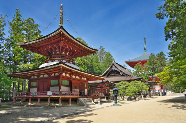 広々とした金剛峯寺の境内