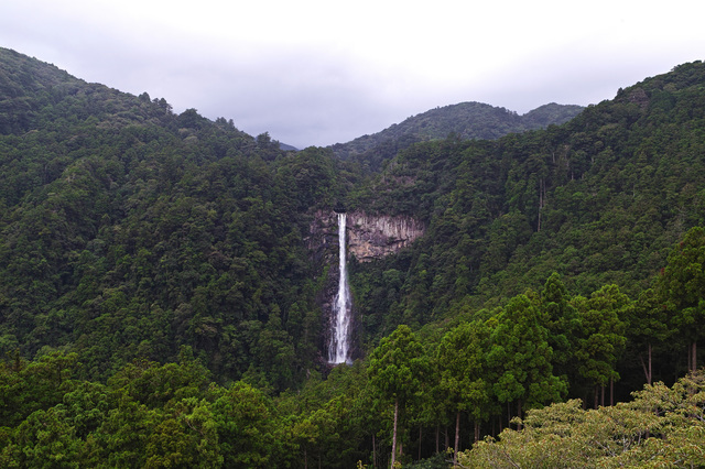 落差が133メートルもある「那智の大滝」