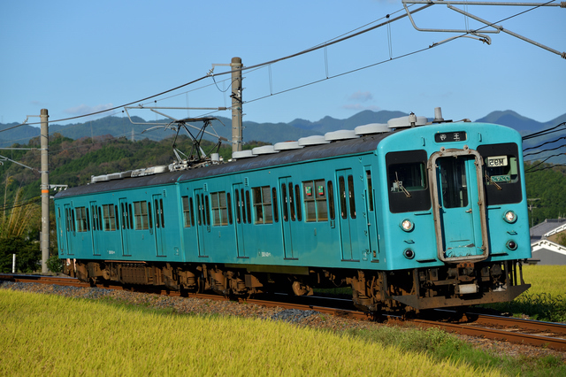 和歌山線を走る電車