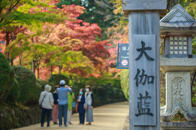 金剛峯寺の参道