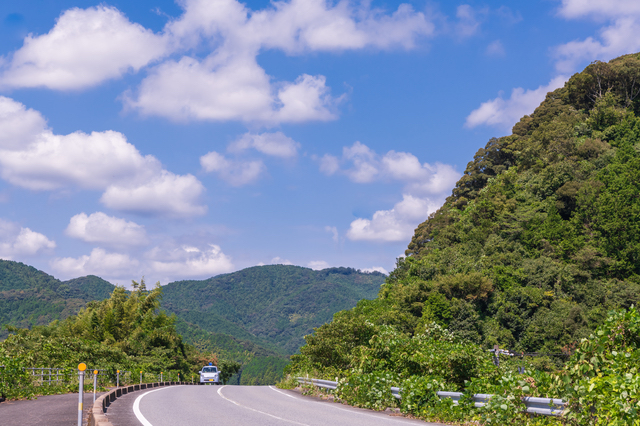 山口県ののどかな道