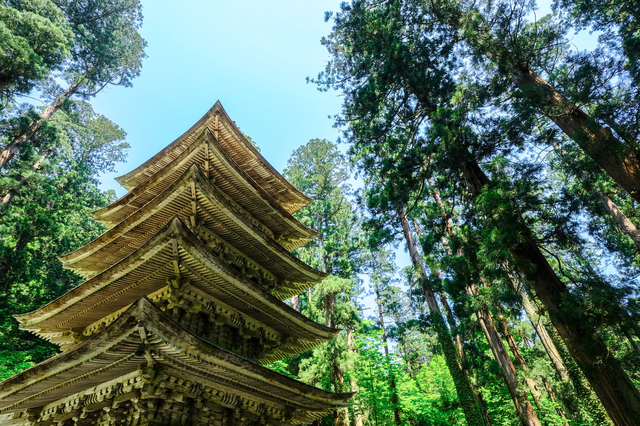 山中に建つ五重塔