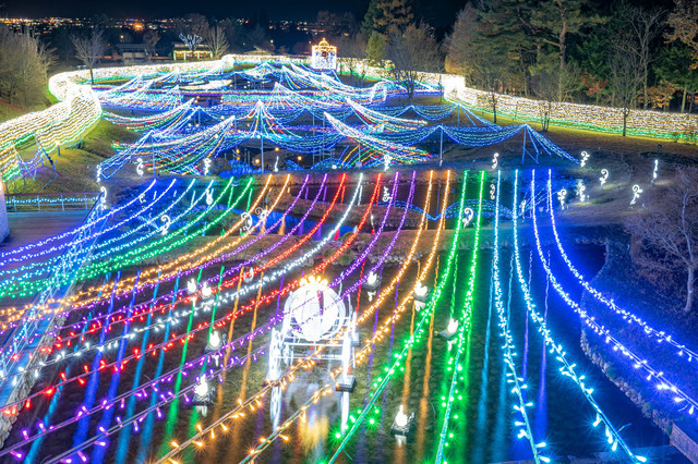 国営アルプスあづみの公園のイルミネーション