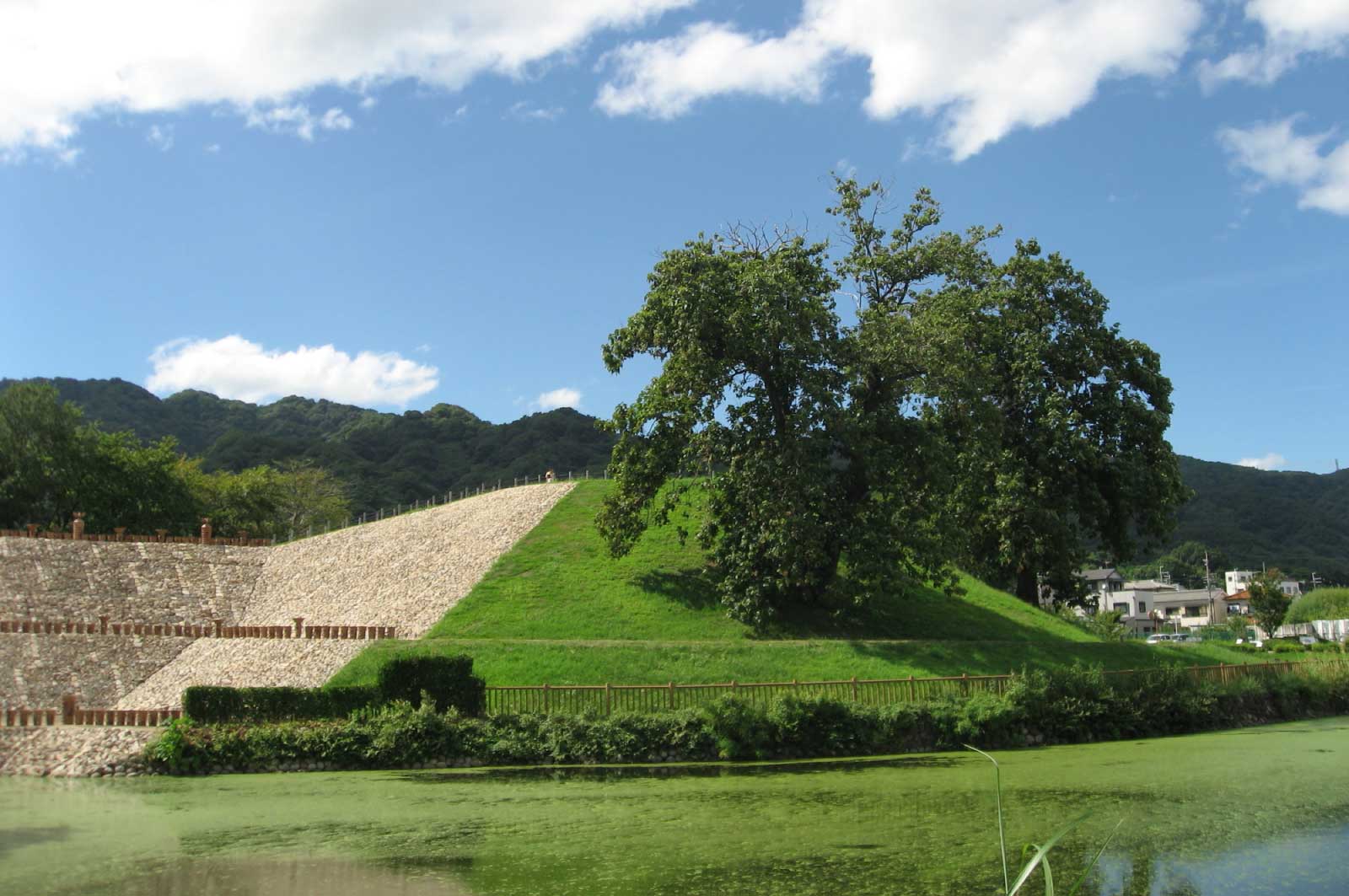 心合寺山古墳（八尾）