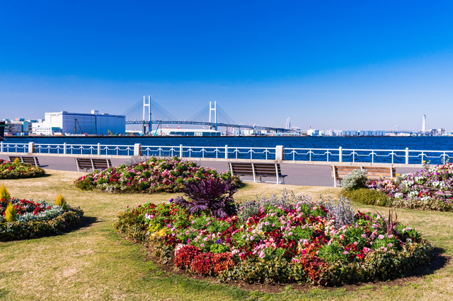 横浜の山下公園