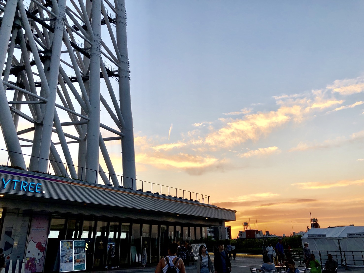 夕暮れとスカイツリー