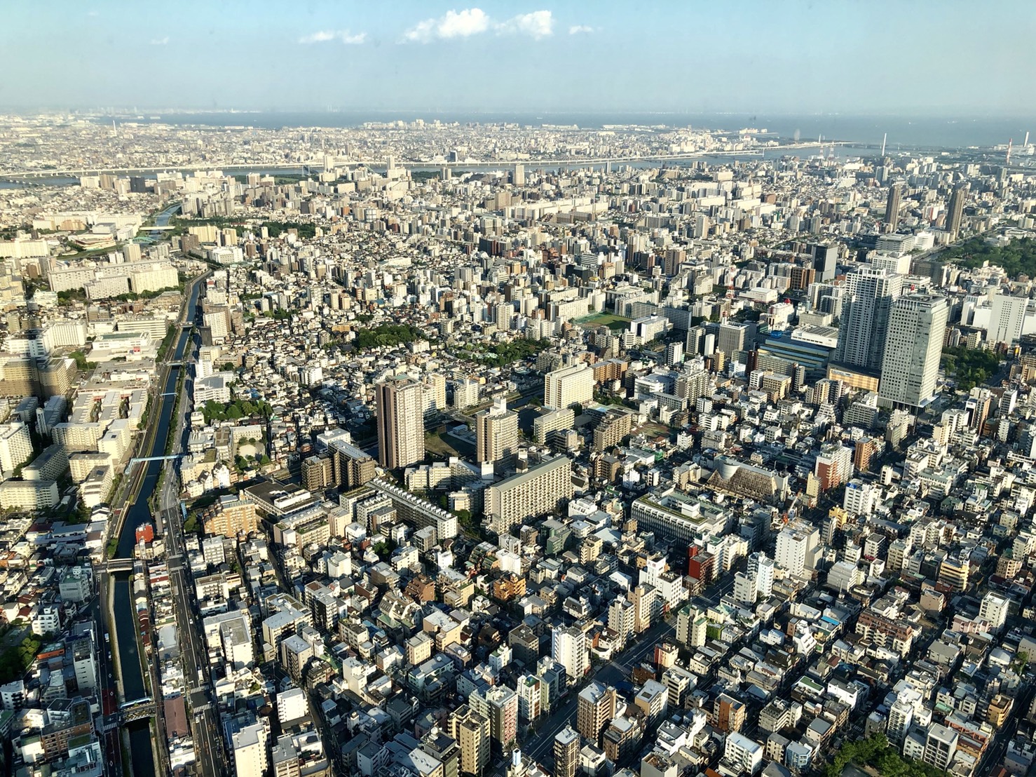 西日が差すと、スカイツリーの影ができる。