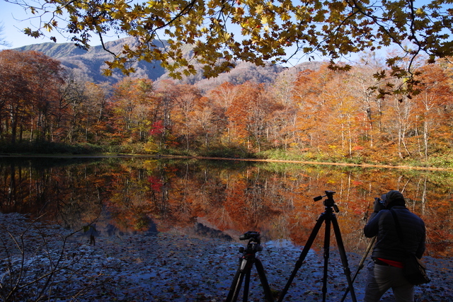 カメラで紅葉を撮影