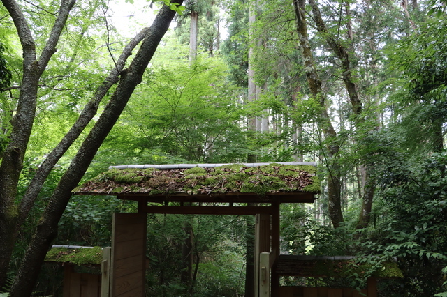 苔寺（京都）