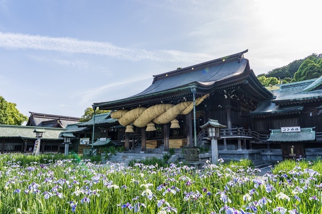 神社はまわりは自然に囲まれて