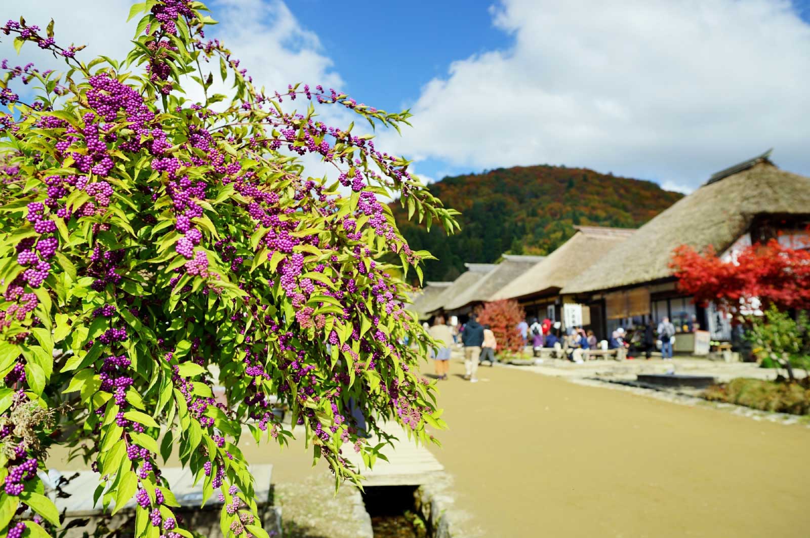 お祭りなども開催