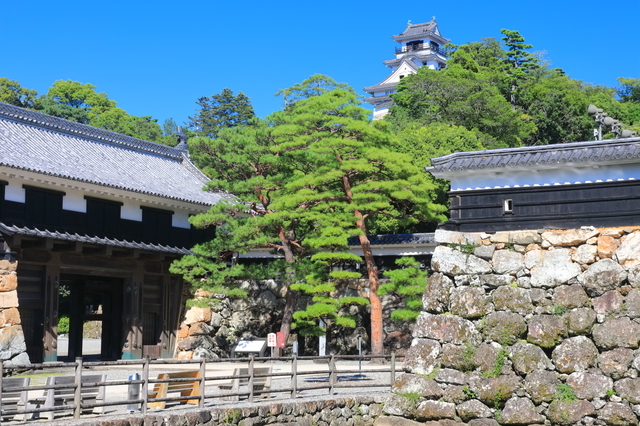 明治維新にゆかりのある高知城