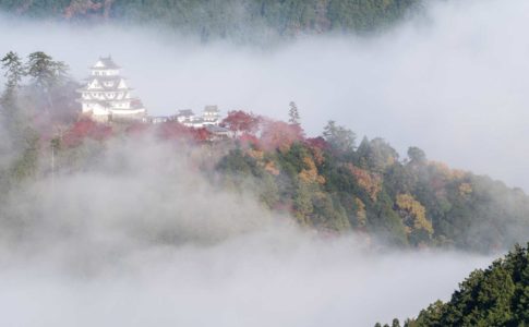 朝霧に浮かび上がる八幡城