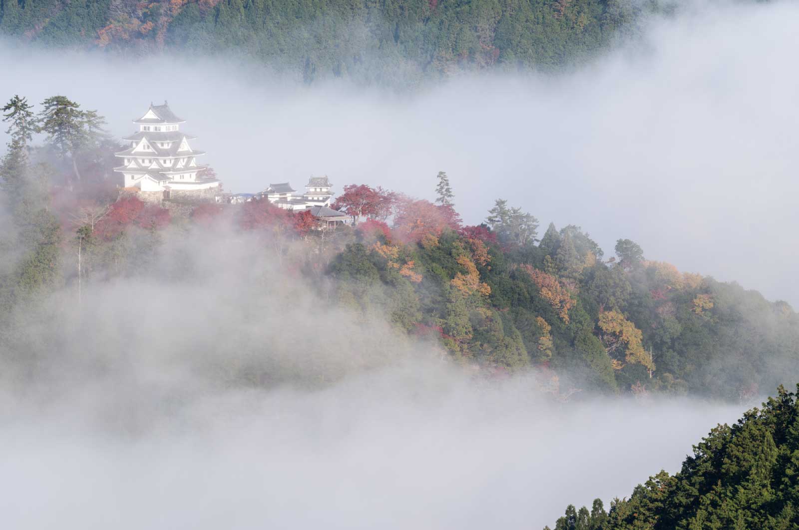 朝霧に浮かび上がる八幡城